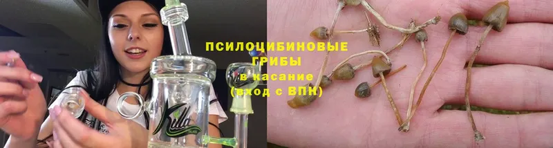 Галлюциногенные грибы Psilocybe  hydra ссылка  маркетплейс формула  Горнозаводск 